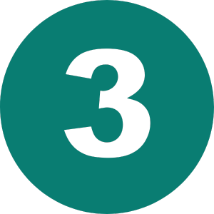 3 (3)